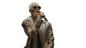 Rap Star Granny Vinyl Car Decal Sticker – Waterproof & UV-Resistant 2.72"