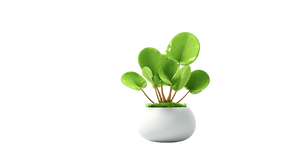 Pixar Plant Vinyl Car Decal Sticker – Waterproof & UV-Resistant 2.72"