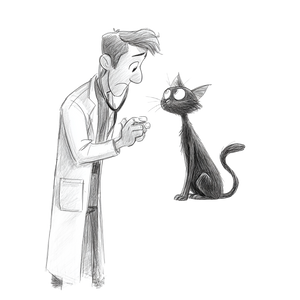 Veterinarian And Cat Vinyl Car Decal Sticker – Waterproof & UV-Resistant 3.4133333333333336"