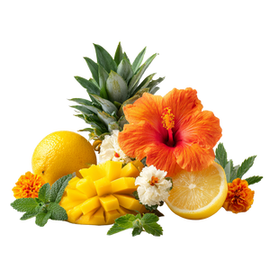 Tropical Cocktail Ingredients Vinyl Car Decal Sticker – Waterproof & UV-Resistant 6.826666666666667"
