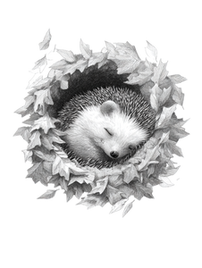 Curled Hedgehog Doodle Vinyl Car Decal Sticker – Waterproof & UV-Resistant 4.1066666666666665"