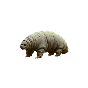 Tardigrade Environments Vinyl Car Decal Sticker – Waterproof & UV-Resistant 3.4133333333333336"