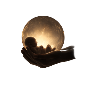 Glowing Newborn Sphere Vinyl Car Decal Sticker – Waterproof & UV-Resistant 6.826666666666667"