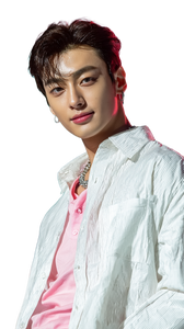 Handsome Korean Idol V3 Vinyl Car Decal Sticker – Waterproof & UV-Resistant 9.706666666666667"