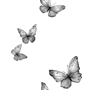 Ink Butterflies Flight Vinyl Car Decal Sticker – Waterproof & UV-Resistant 6.826666666666667"