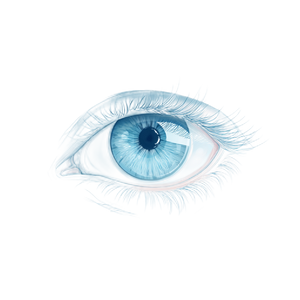 Blue Vector Eye Vinyl Car Decal Sticker – Waterproof & UV-Resistant 6.826666666666667"