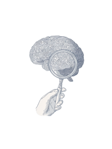 Examined Brain Vinyl Car Decal Sticker – Waterproof & UV-Resistant 8.213333333333333" Examined Brain Vinyl Car Decal Sticker – Waterproof & UV-Resistant 8.213333333333333"