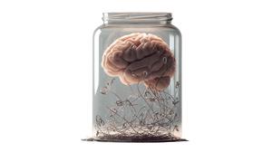 Floating Brain Concept Vinyl Car Decal Sticker – Waterproof & UV-Resistant 5.4