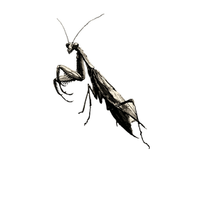 Sumi-E Mantis Vinyl Car Decal Sticker – Waterproof & UV-Resistant 6.826666666666667"