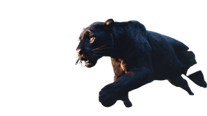 Black Panther Running V4 Vinyl Car Decal Sticker – Waterproof & UV-Resistant 5.4