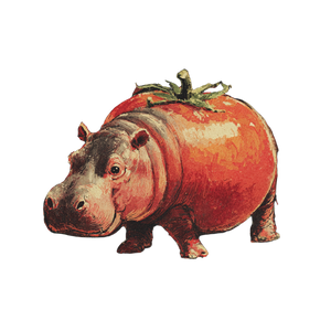 Tomato Hippo Vinyl Car Decal Sticker – Waterproof & UV-Resistant 3.4133333333333336"