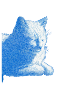Sleeping Cat Print Vinyl Car Decal Sticker – Waterproof & UV-Resistant 4.373333333333333"