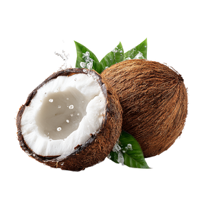 Juicy Coconut Vinyl Car Decal Sticker – Waterproof & UV-Resistant 3.4133333333333336"