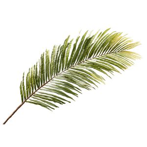 Big Palm Leaf Vinyl Car Decal Sticker – Waterproof & UV-Resistant 6.826666666666667"