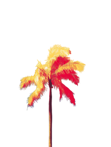 Palm Tree Art V3 Vinyl Car Decal Sticker – Waterproof & UV-Resistant 8.213333333333333"