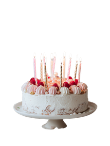 Birthday Cake V8 Vinyl Car Decal Sticker – Waterproof & UV-Resistant 8.213333333333333"