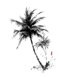 Coconut Tree Art Vinyl Car Decal Sticker – Waterproof & UV-Resistant 8.213333333333333"