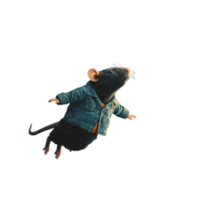 Space Rat Vinyl Car Decal Sticker – Waterproof & UV-Resistant 6.826666666666667"