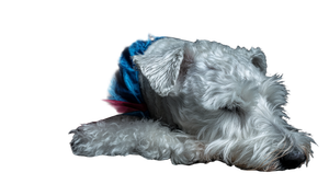 Sleeping Superdog Krypto Vinyl Car Decal Sticker – Waterproof & UV-Resistant 2.72"