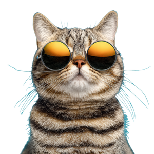 Cool Cat Shades V2 Vinyl Car Decal Sticker – Waterproof & UV-Resistant 3.4133333333333336"