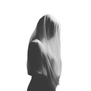Veiled Mystery Vinyl Car Decal Sticker – Waterproof & UV-Resistant 6.826666666666667"