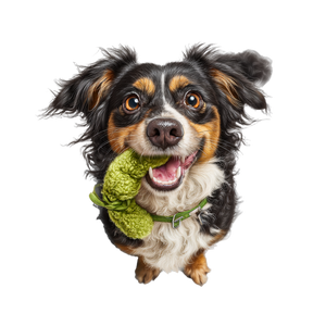 Joyful Dachshund Vinyl Car Decal Sticker – Waterproof & UV-Resistant 3.4133333333333336"