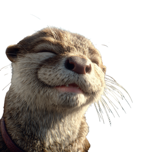Smiling Otter Vinyl Car Decal Sticker – Waterproof & UV-Resistant 3.4133333333333336"
