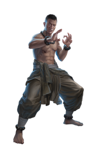 Martial Arts Monk V7 Vinyl Car Decal Sticker – Waterproof & UV-Resistant 8.96"