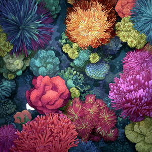 Colorful Coral Reef V4 Vinyl Car Decal Sticker – Waterproof & UV-Resistant 3.4133333333333336"