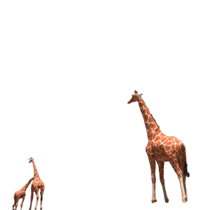 Judgmental Giraffe Vinyl Car Decal Sticker – Waterproof & UV-Resistant 6.826666666666667"