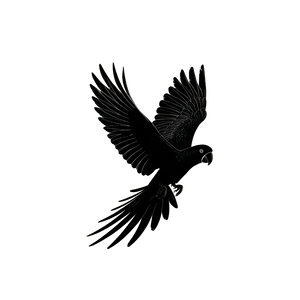 Flying Parrot Silhouette Vinyl Car Decal Sticker – Waterproof & UV-Resistant 3.4133333333333336"