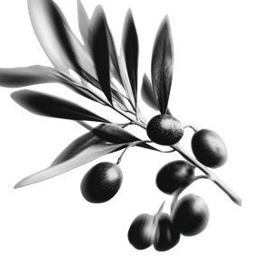 Olive Branch Motion Vinyl Car Decal Sticker – Waterproof & UV-Resistant 3.4133333333333336"