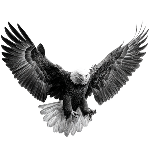 Aggressive Eagle Attack Vinyl Car Decal Sticker – Waterproof & UV-Resistant 3.4133333333333336"