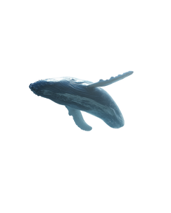 Whale Leap Waterfall Vinyl Car Decal Sticker – Waterproof & UV-Resistant 4.0"