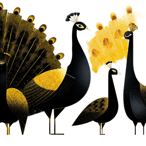 Geometric Peacock Illustration Vinyl Car Decal Sticker – Waterproof & UV-Resistant 3.4133333333333336"