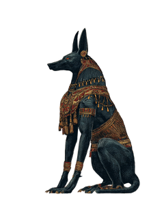 Anubis Vintage Art Vinyl Car Decal Sticker – Waterproof & UV-Resistant 4.0"