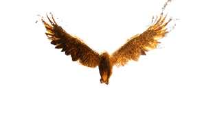 Fiery Eagle Escape Vinyl Car Decal Sticker – Waterproof & UV-Resistant 5.4