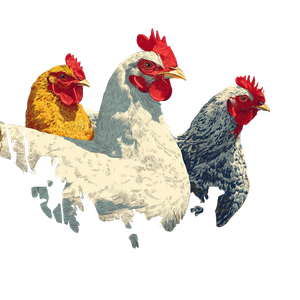 Chickens In Meadow Vinyl Car Decal Sticker – Waterproof & UV-Resistant 3.4133333333333336"
