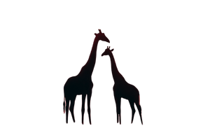 Giraffes At Sunset V2 Vinyl Car Decal Sticker – Waterproof & UV-Resistant 2.986666666666667"