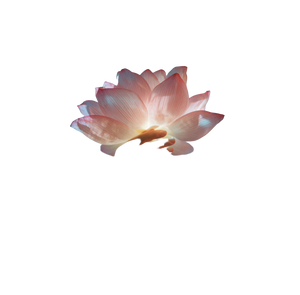 Surreal Flower Dream Vinyl Car Decal Sticker – Waterproof & UV-Resistant 3.4133333333333336"
