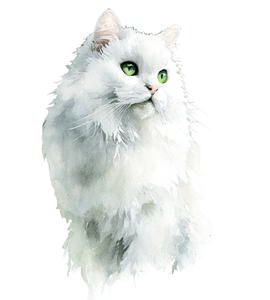 Fluffy White Cat V23 Vinyl Car Decal Sticker – Waterproof & UV-Resistant 3.7866666666666666"
