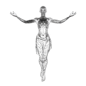 Wireframe Oracle Pose Vinyl Car Decal Sticker – Waterproof & UV-Resistant 6.826666666666667"
