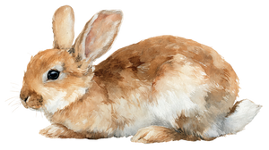 Wonderland Rabbit V3 Vinyl Car Decal Sticker – Waterproof & UV-Resistant 2.72"