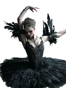 Black Swan Ballet V2 Vinyl Car Decal Sticker – Waterproof & UV-Resistant 4.1066666666666665"