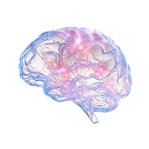 Glowing Brain X-Ray Vinyl Car Decal Sticker – Waterproof & UV-Resistant 6.826666666666667"