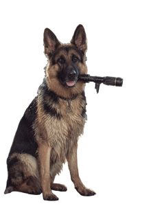 Dog With Car Wash Vinyl Car Decal Sticker – Waterproof & UV-Resistant 4.1066666666666665"