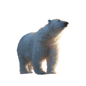 Celestial Polar Bear Vinyl Car Decal Sticker – Waterproof & UV-Resistant 3.4133333333333336"