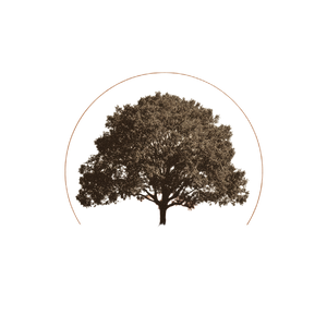 Tree Symbol Illustration Vinyl Car Decal Sticker – Waterproof & UV-Resistant 6.826666666666667"