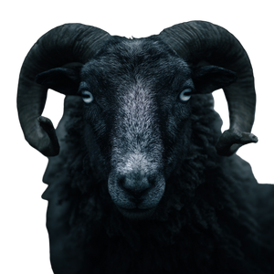 Creepy Ram Vinyl Car Decal Sticker – Waterproof & UV-Resistant 3.4133333333333336"