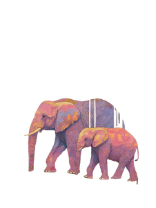 Pink Elephants Parade Vinyl Car Decal Sticker – Waterproof & UV-Resistant 8.213333333333333" Pink Elephants Parade Vinyl Car Decal Sticker – Waterproof & UV-Resistant 8.213333333333333"
